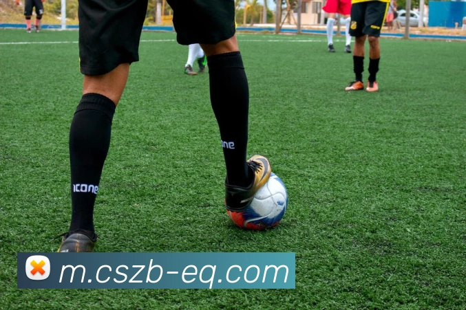 彩神争霸全站App 彩神争霸全站App