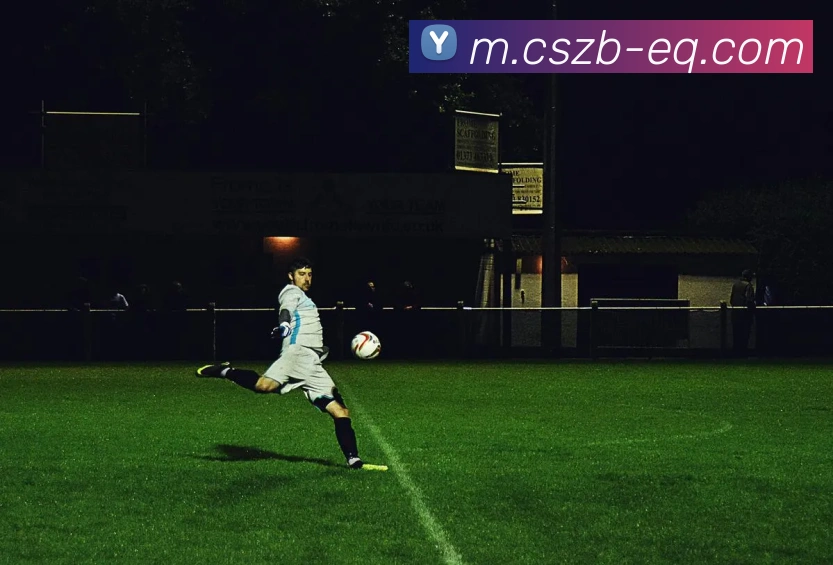 辅助工具 辅助工具